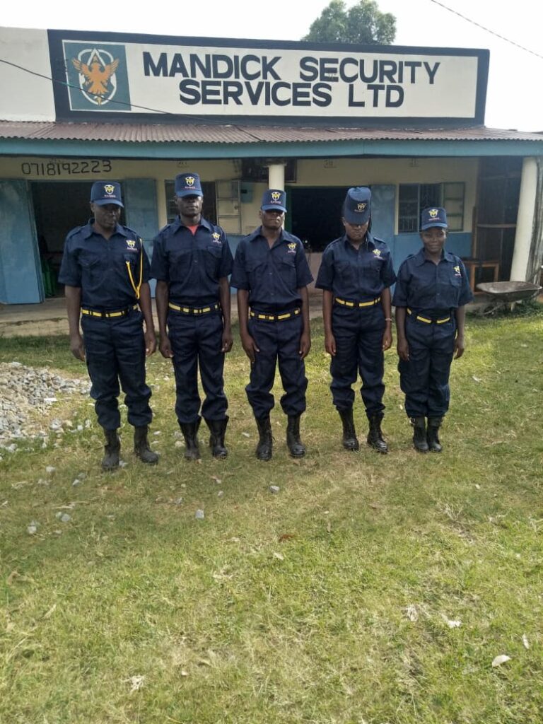 whatsapp image 2025 11 19 at 08.24.25 618cbea8